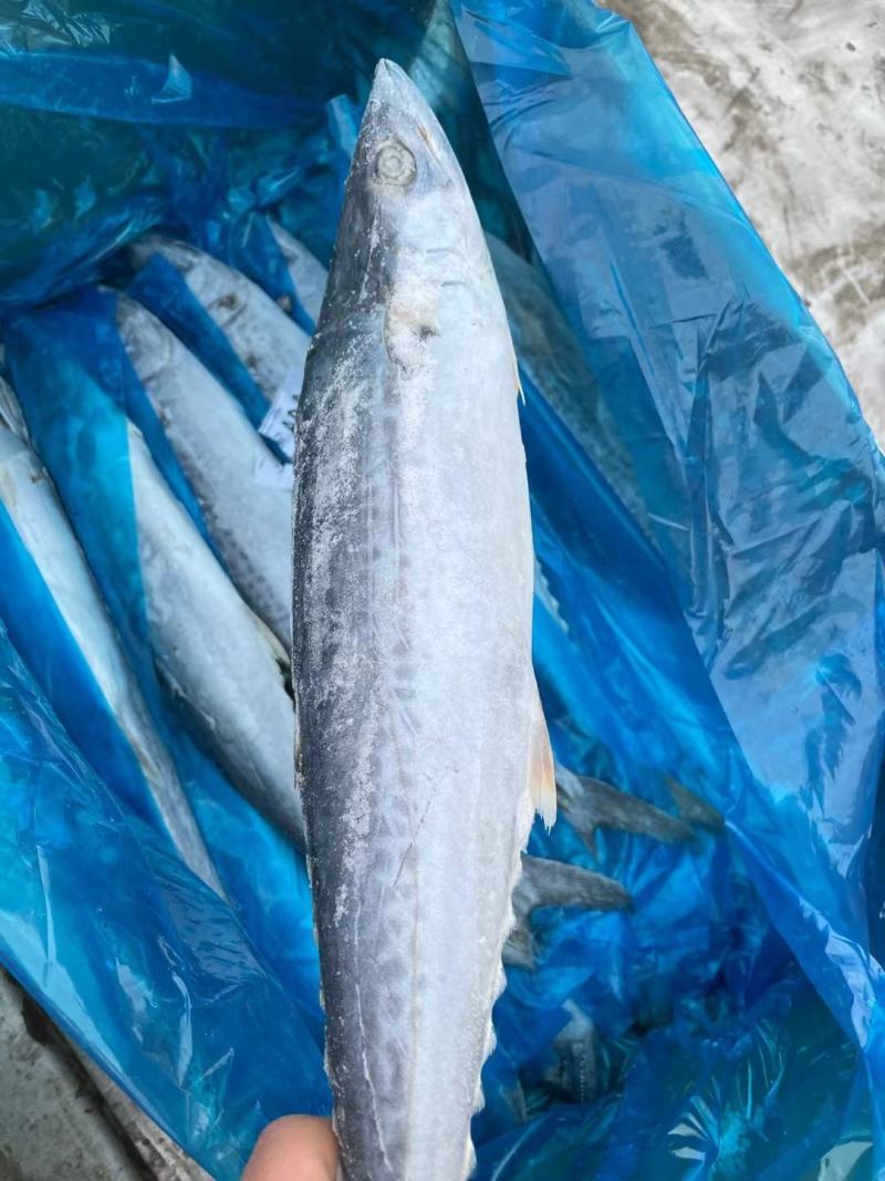 丹东水产品加工行业：传统与现代交织的精彩篇章